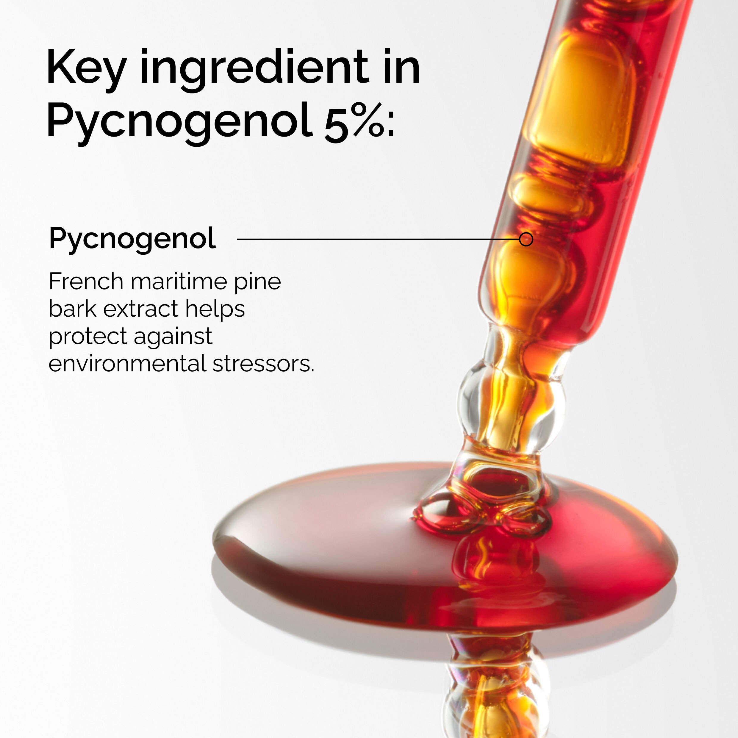 Brighten and Protect Your Skin with Pycnogenol 5% Formula 15ml - Image 3
